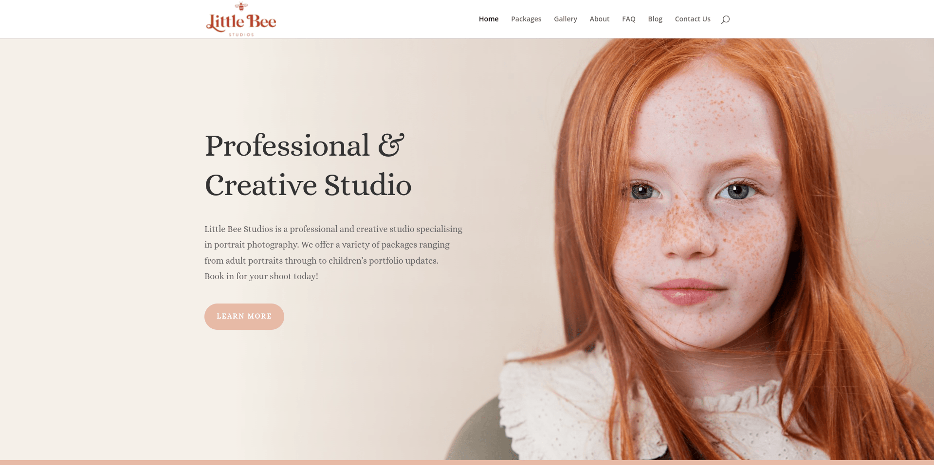 Little Bee Studios